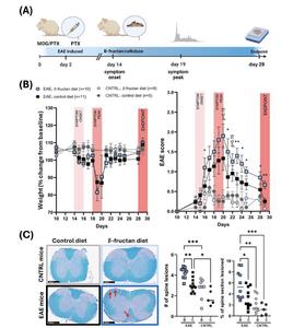β-fructan diet caused worsened symptom score and increased demyelinating lesions in a germ-free EAE mouse model (unable to ferment fibres).