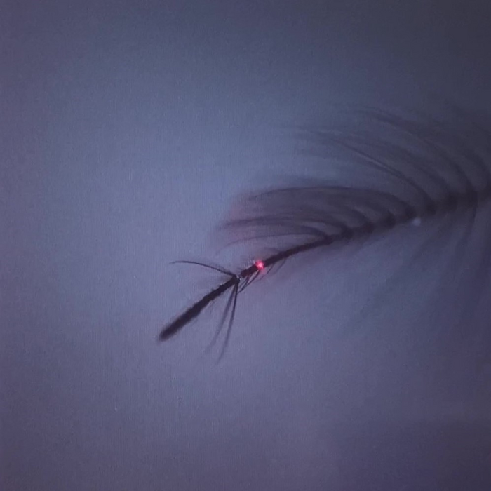 Measuring mosquito ear vibrations