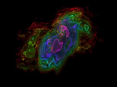 Molecular Gas in NGC 253