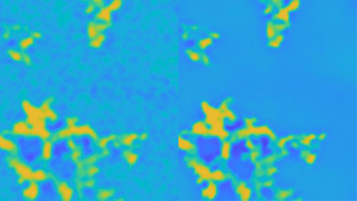 Electron Microscrope Image
