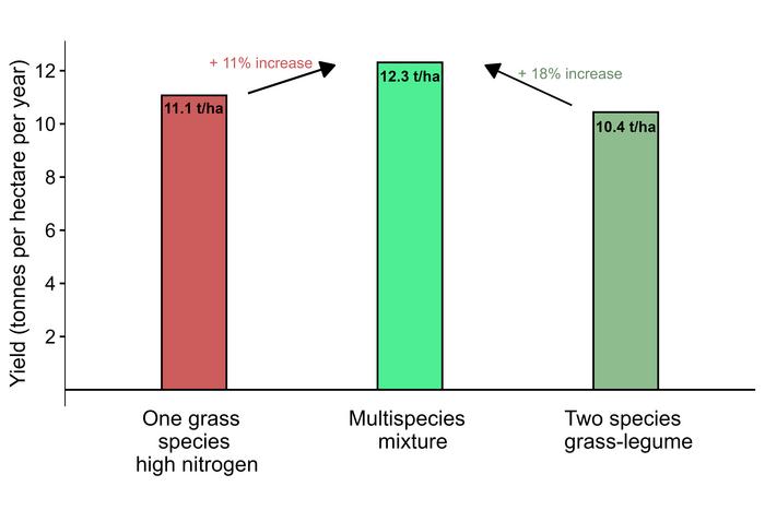 Multispecies mixtures outperform two commonly used agricultural practices.