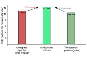 Multispecies mixtures outperform two commonly used agricultural practices.