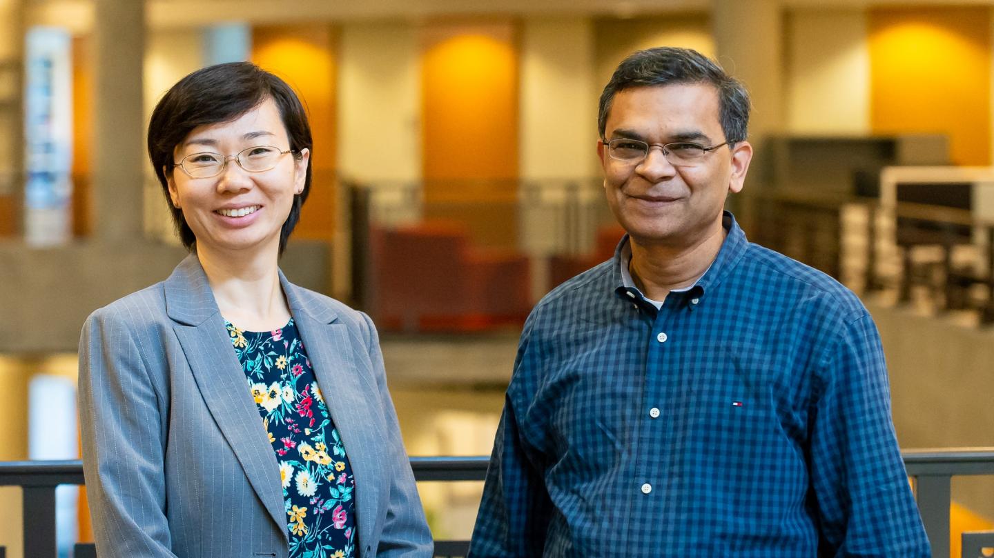 Jiali Wang and Rao Kotamarthi