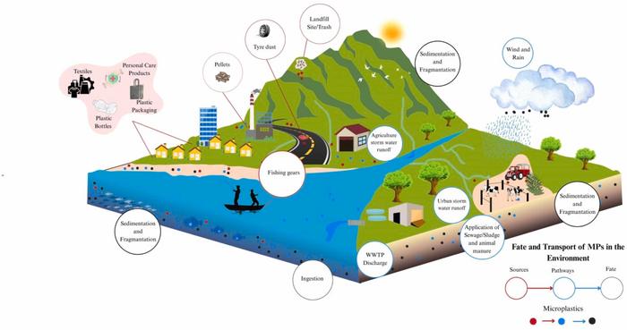 Microplastic sources and pathways