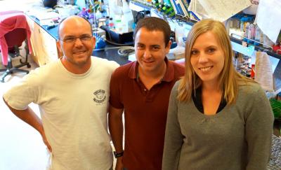 Christopher Hayes, Sanna Koskiniemi, and James Lamoureux, University of California - Santa Barbara