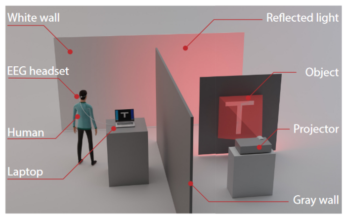 Brain-assisted computational ghost imaging