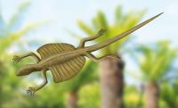 Mock-up of a Kuehneosaur