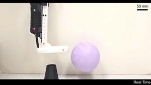 Robotic leg flexes its 'muscle'