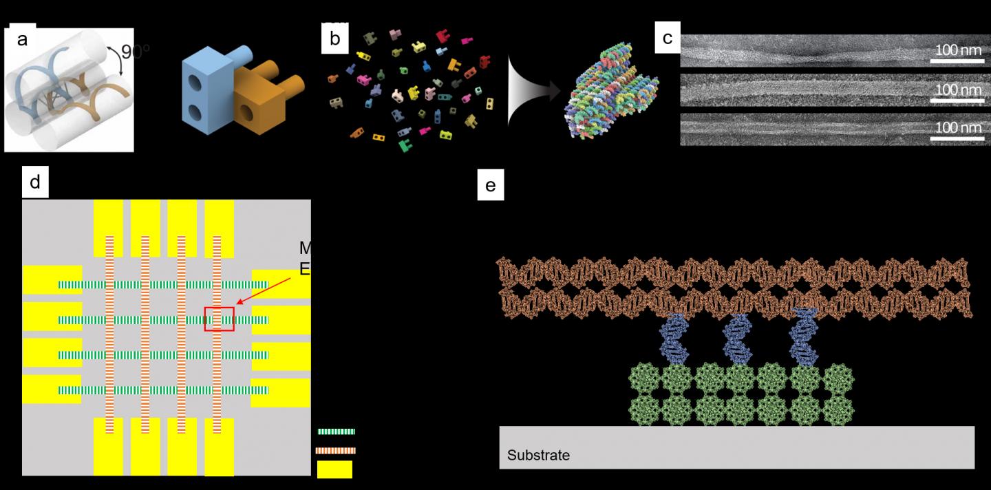 DNA-ROM: New Grant Aims for Memory Chips Based on DNA