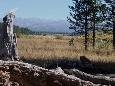 Alder Creek, Sierra Nevada