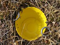 Pitfall Traps