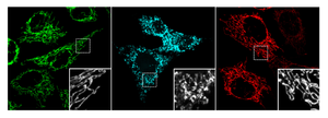 Science image