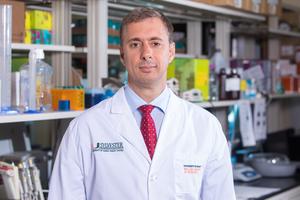 Paulo Pinheiro, M.D., Ph.D.