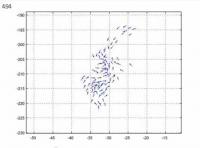 Starling -- Simulated Flock