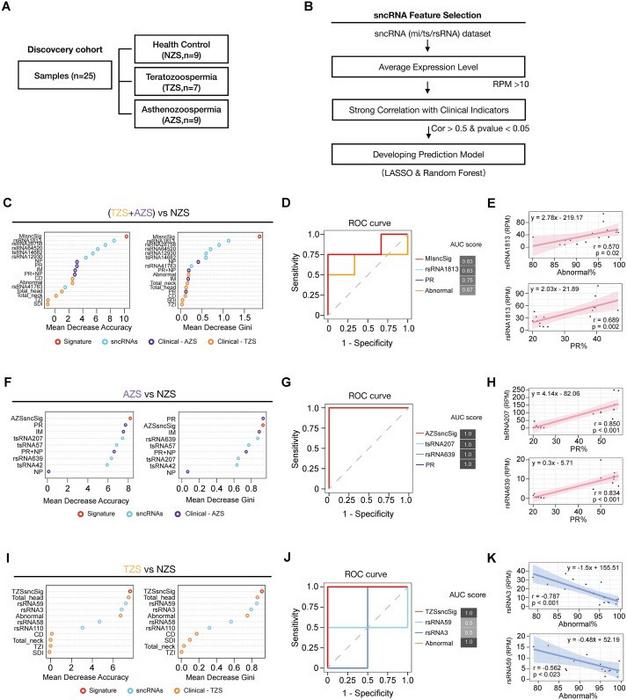 The sncRNA-based signatures robustly distinguish subjects with subfertile sperm from healthy controls