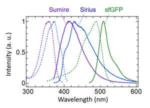 Fig. 2