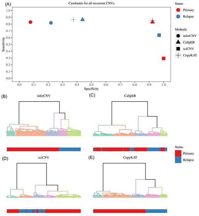 Evaluation of scCNV inference methods using a clinical small cell lung cancer (SCLC) dataset.