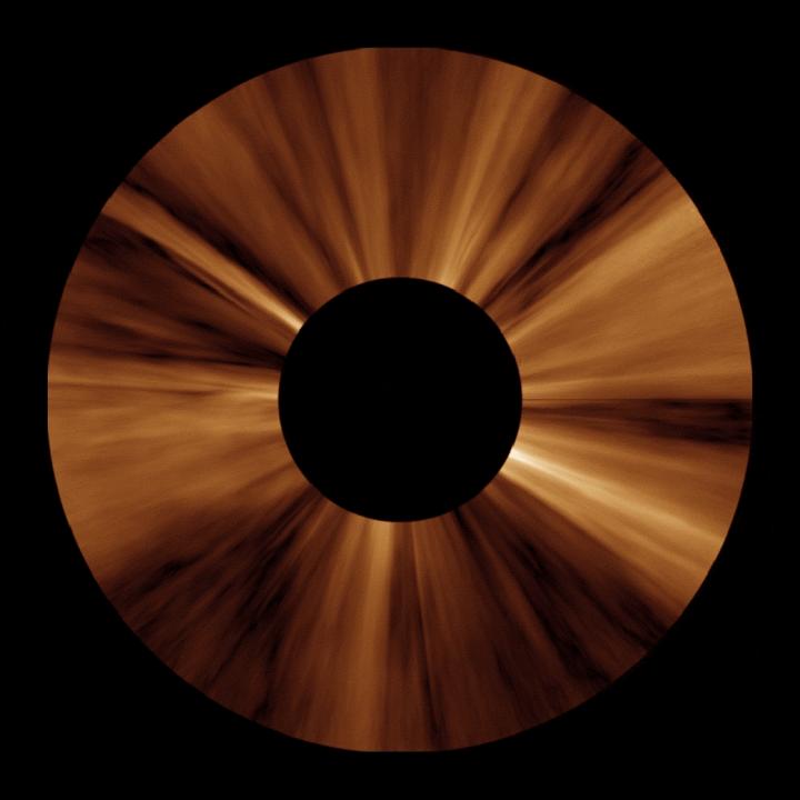 Data-Cleaned View of the Corona