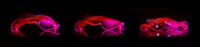 Bioinspired 3D Structures