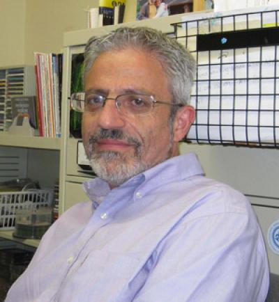 Eliezer Masliah, University of California -- San Diego