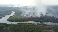 Peatland fire