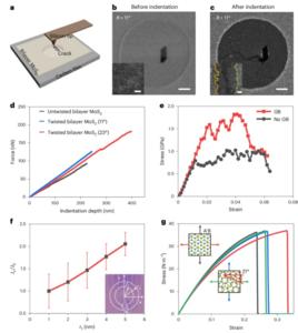 PolyU researchers unveil novel strategy to achieve both strength and toughness in 2D materials design, advancing applications in electronic and photonic devices