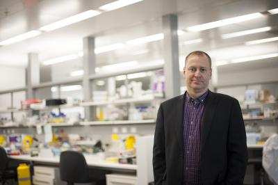 Doug Hilton, Walter and Eliza Hall Institute