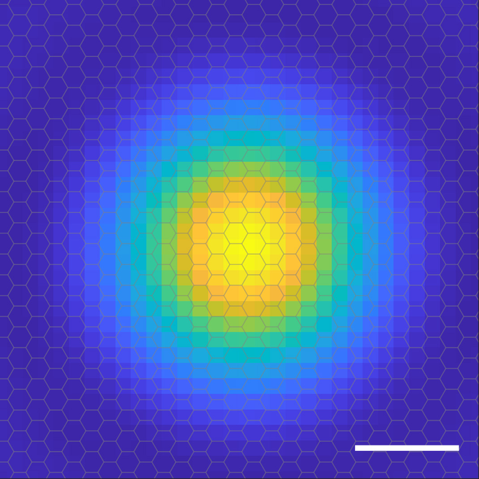 A probability cloud reveals position of exciton's electron