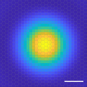 A probability cloud reveals position of exciton's electron