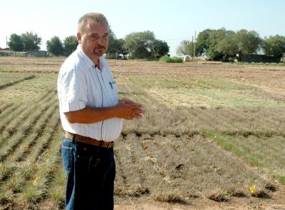 Dr. Dariusz Malinowski, Texas A&M AgriLife Research