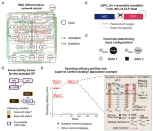 KAIST Develops Core Technology to Reverse Biological Changes Once Thought Irreversible, Opening New Possibilities for Aging and Cancer Research