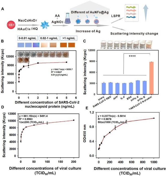 Analytical performance of the MD ELAAA platform in detecting the SARS-CoV-2 N protein and viral cultures.