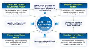 The framework of “One Health” surveillance proposed based on the environmental, animal and human surveillance systems.