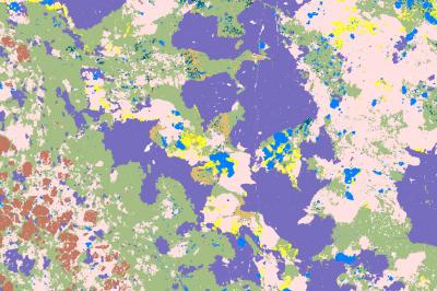 MLA (Mineral Liberation Analysis)