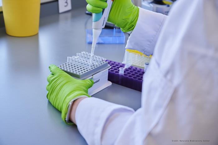 Lab work
