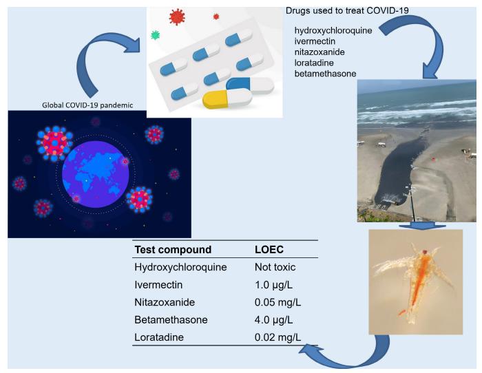 Toxic effects of drugs used to treat COVID-19 on Artemia salina