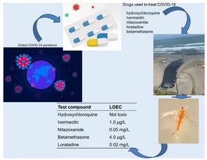 Toxic effects of drugs used to treat COVID-19 on Artemia salina