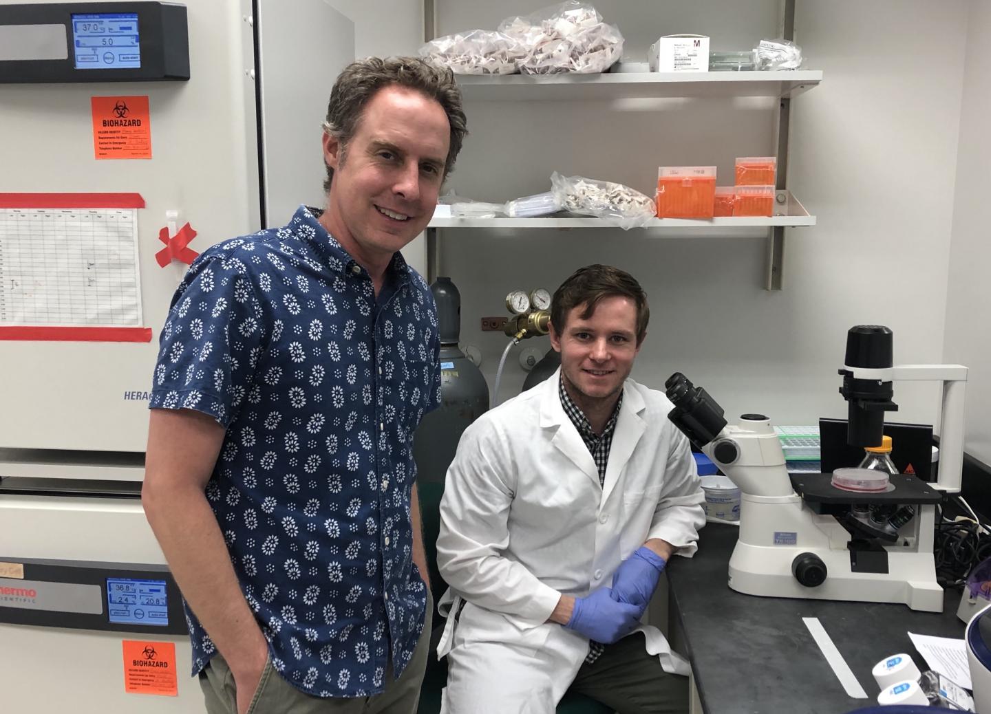 How Cancer Hijacks Wound Healing to Create Its Own Blood Supply