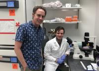 How Cancer Hijacks Wound Healing to Create Its Own Blood Supply