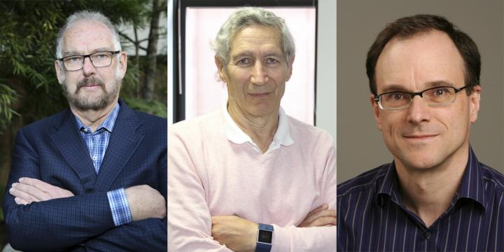 Timothy Bresnahan, Ariel Pakes and Robert Porter.