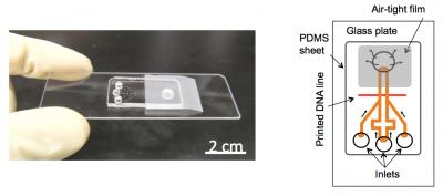 New Power-free RNA Detection Microchip