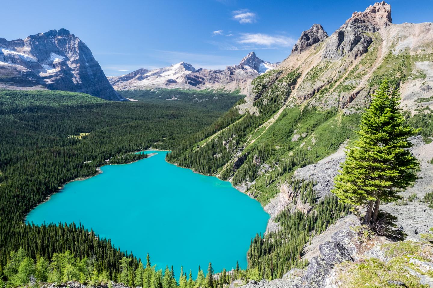 Lake O'Hara in Yoho National Park