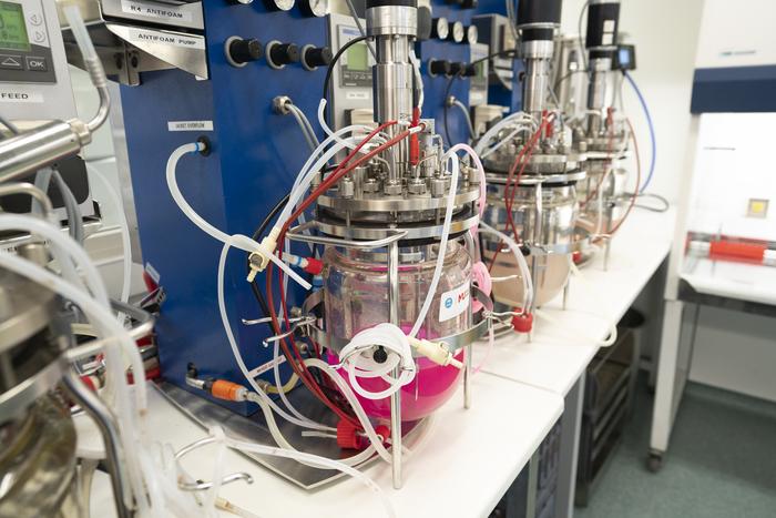 Bioplastics Innovation Hub