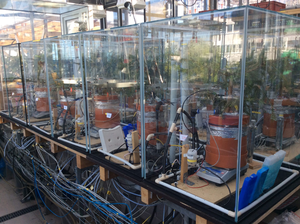 Experimental set-up