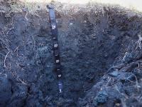Vaughan soil pit face