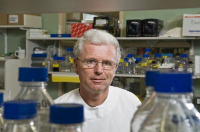 Professor Andreas Strasser, Walter and Eliza Hall Institute