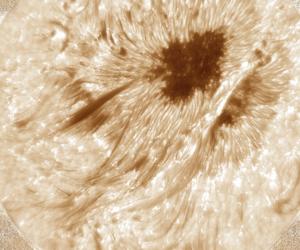 Observations of a sunspot