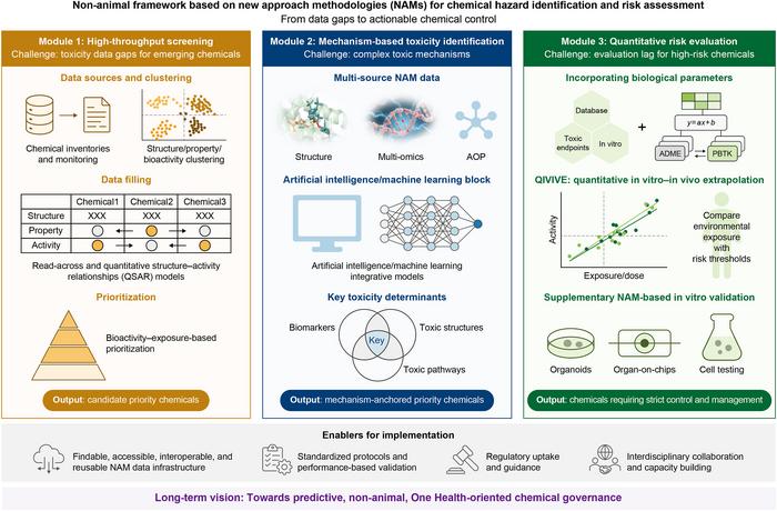 Non-animal framework based on new approach methodologies (NAMs) for chemical hazard identification and risk assessment.