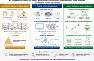 Non-animal framework based on new approach methodologies (NAMs) for chemical hazard identification and risk assessment.