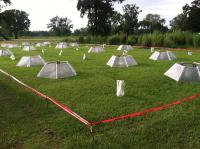 Small Greenhouse-Like Structures Called Open-Top Chambers